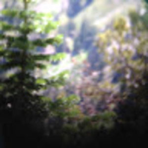 Meet your Posher, Asher